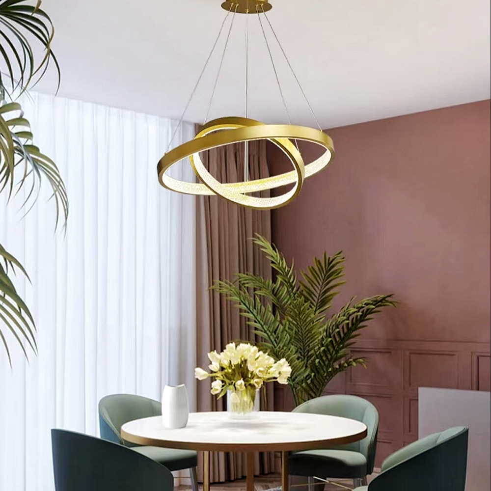 Modern Personalized And Minimalist Circular LED Pendant Light