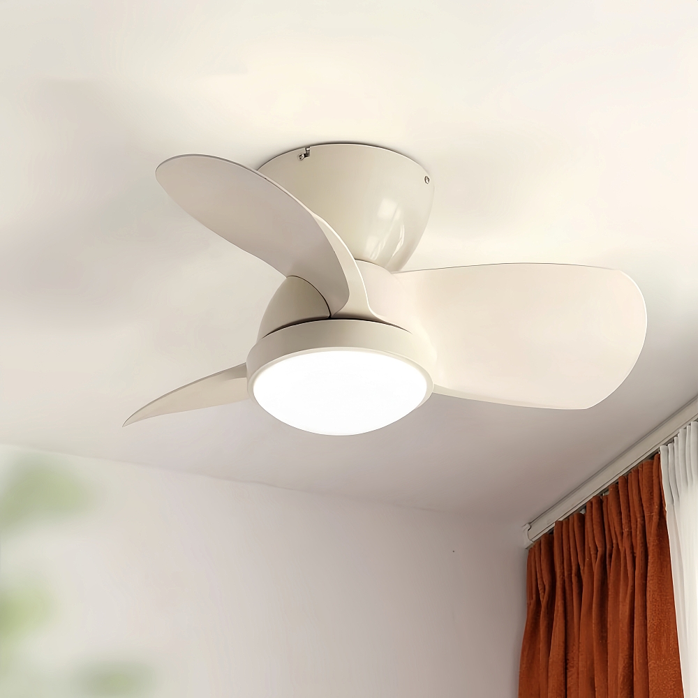 Modern Style Small-Sized 24 Inch Ceiling Fan Light