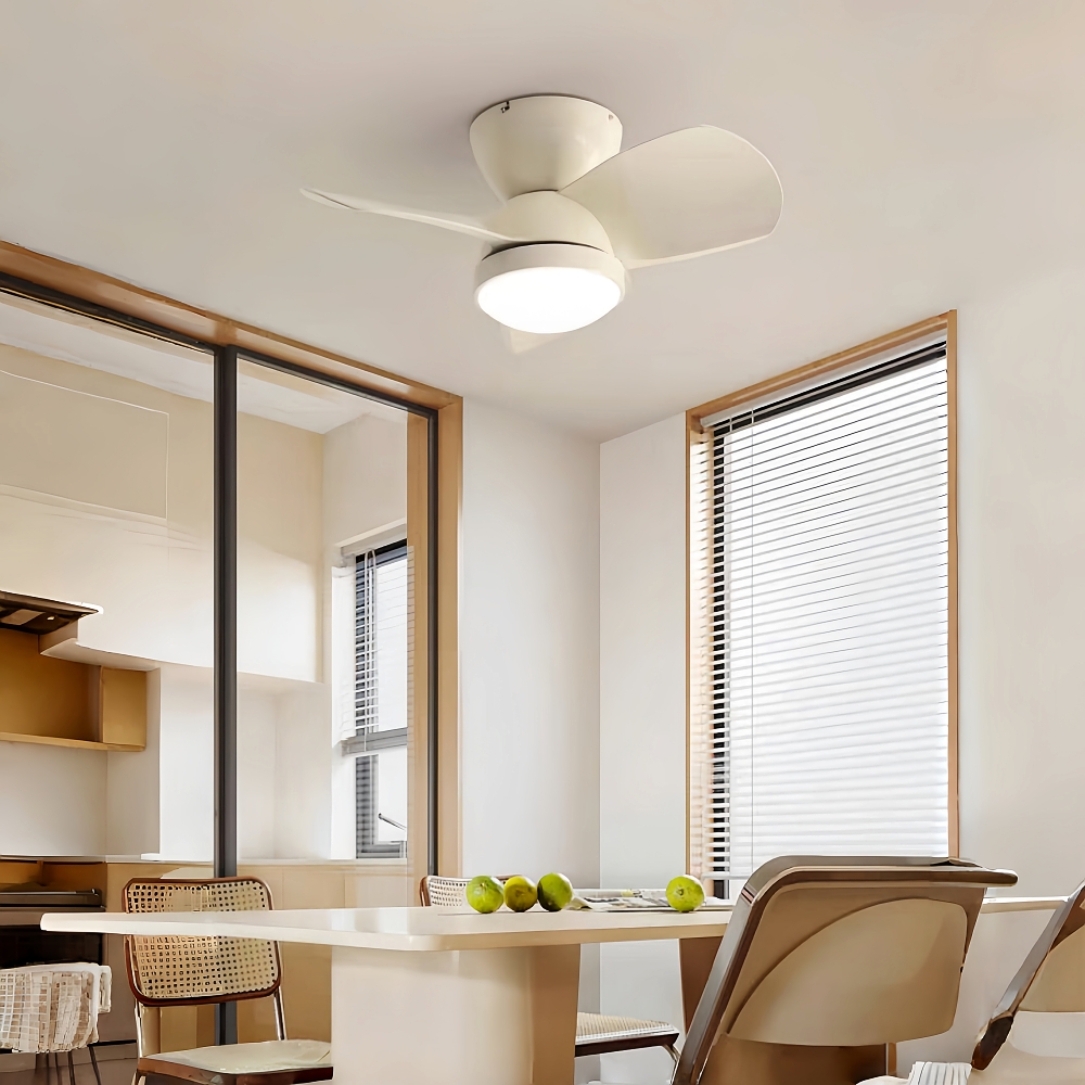 Modern Style Small-Sized 24 Inch Ceiling Fan Light