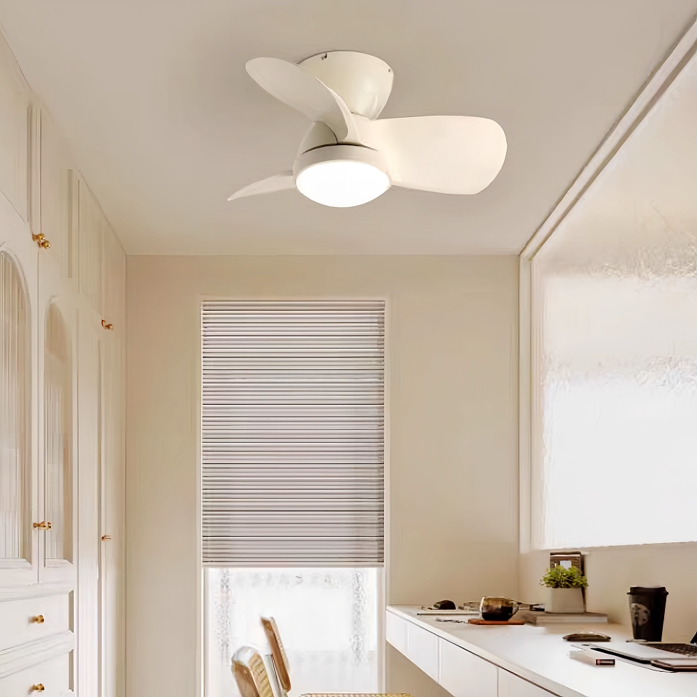 Modern Style Small-Sized 24 Inch Ceiling Fan Light