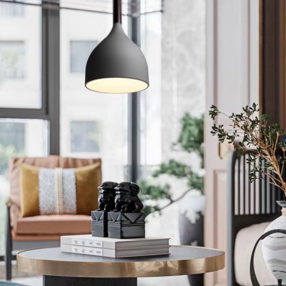 Nordic Wrought Iron Baking Paint Pendant Light