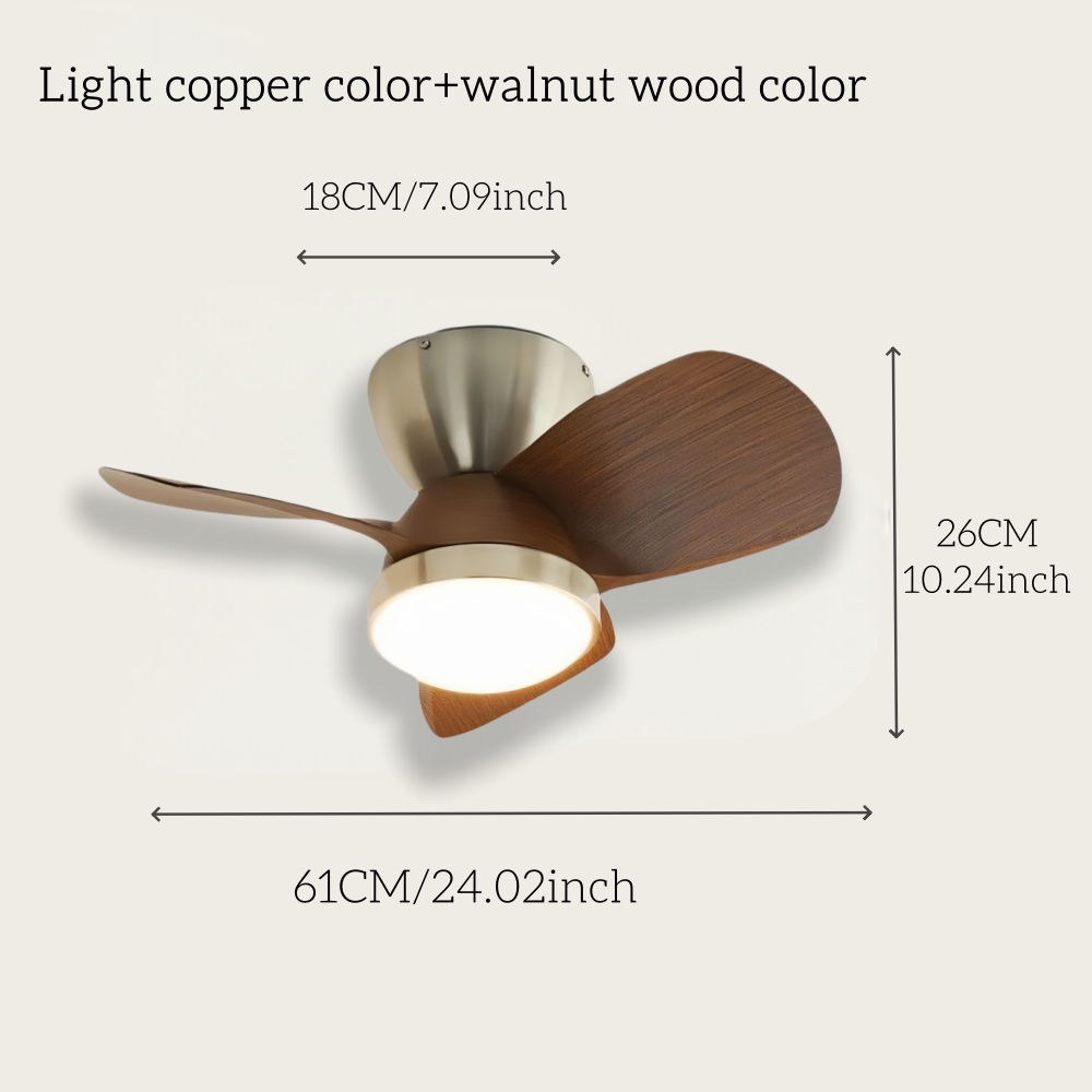 Modern Style Small-Sized 24 Inch Ceiling Fan Light