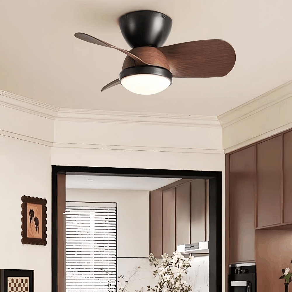 Modern Style Small-Sized 24 Inch Ceiling Fan Light