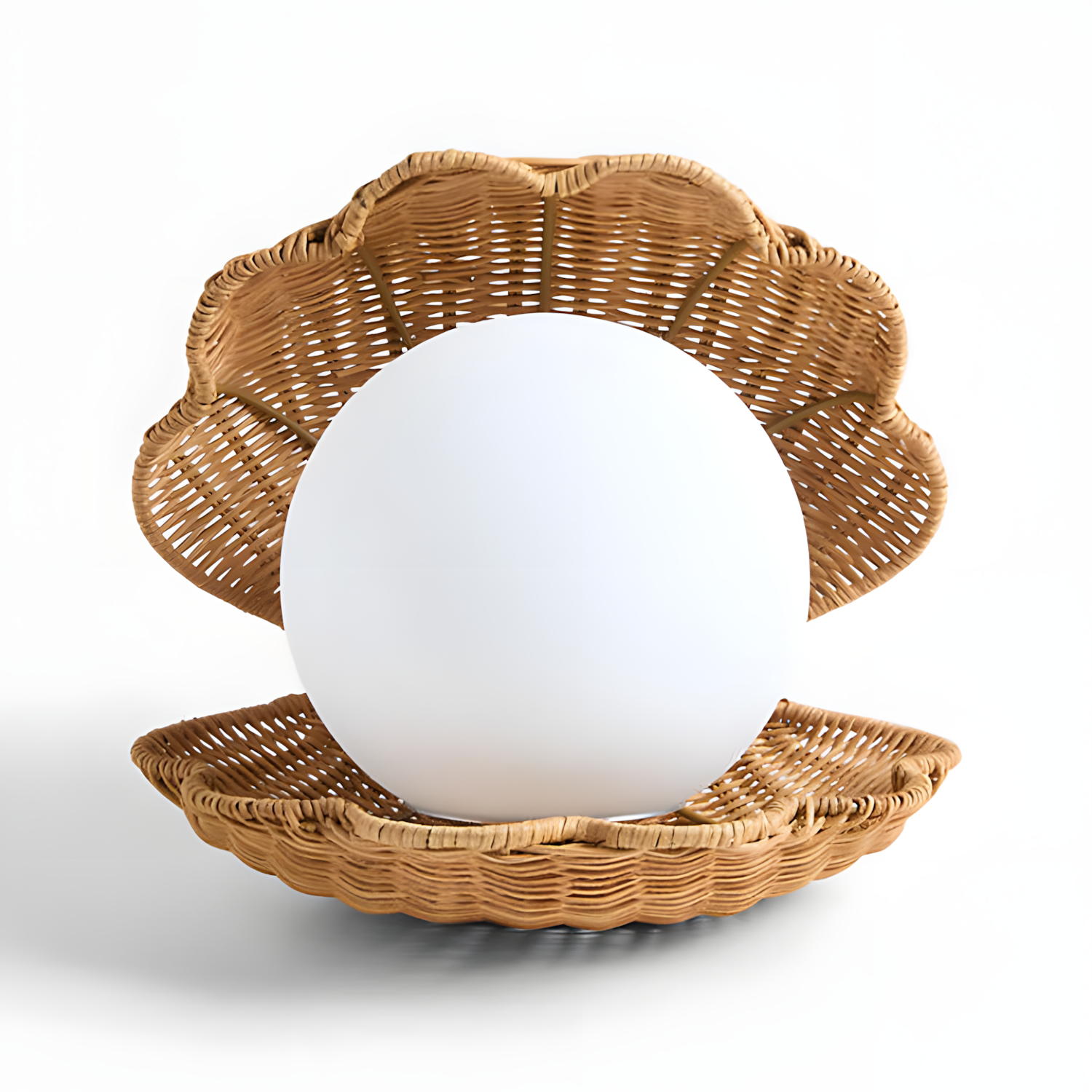 Iris Clam Shell Table Lamp Coastal Seashell Bedside Light