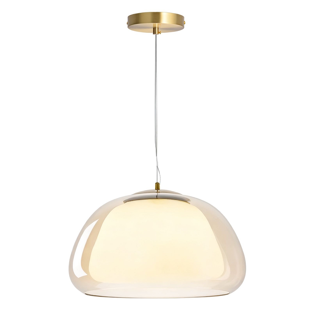 Modern Organic Glass Dome Pendant Light