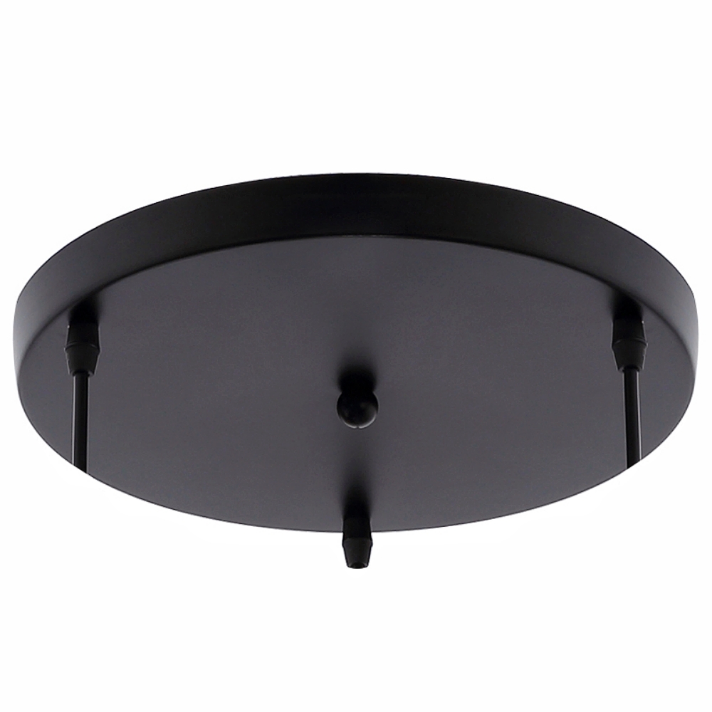 Pendant light ceiling panel