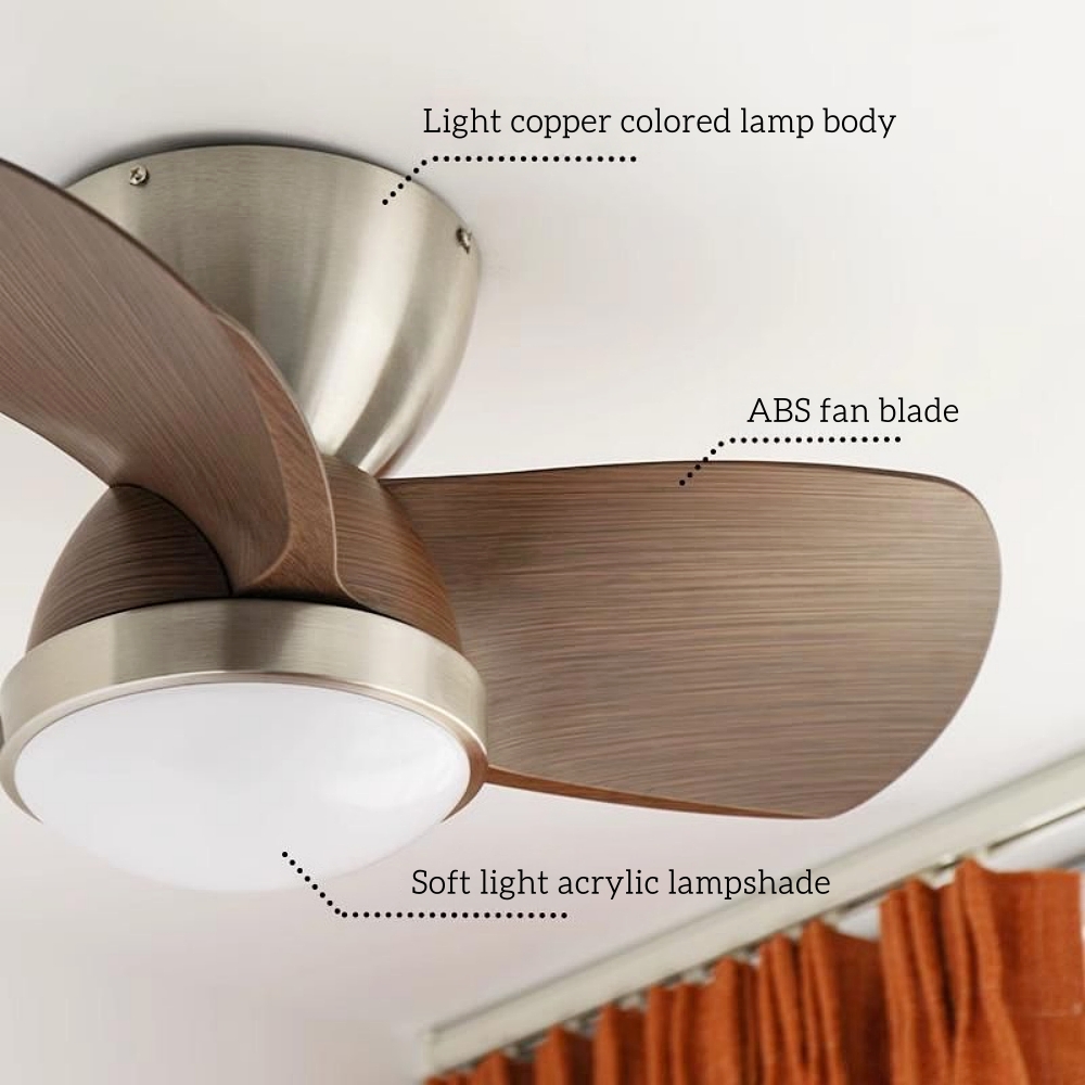 Modern Style Small-Sized 24 Inch Ceiling Fan Light