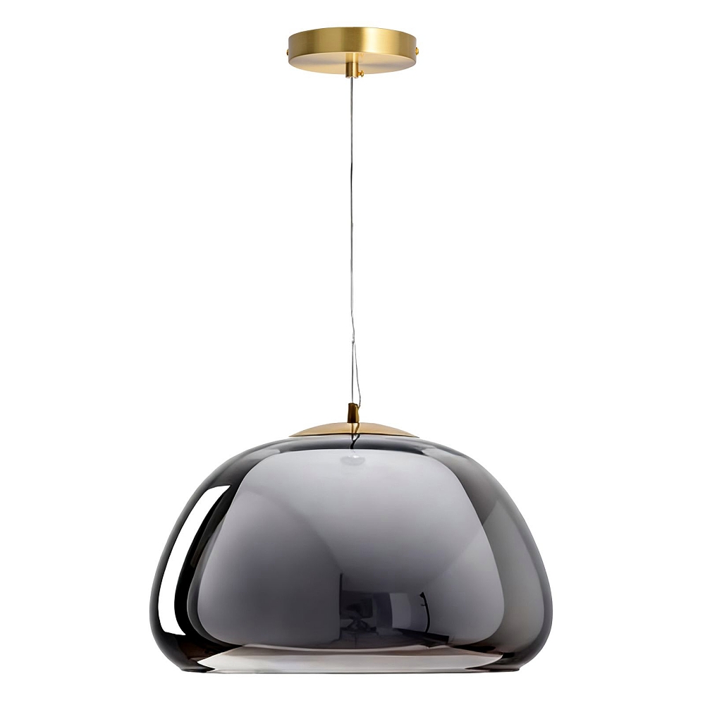 Modern Organic Glass Dome Pendant Light