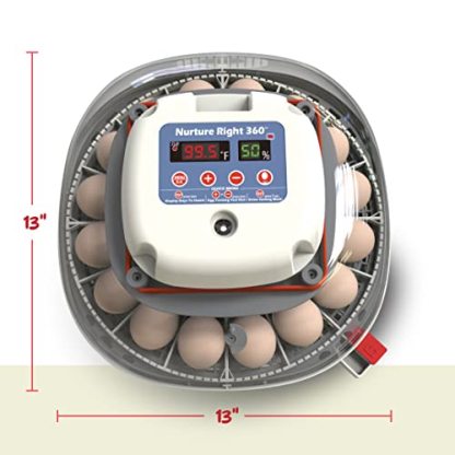 Harris Farms Nurture Right Egg Incubator for Hatching Chicks - Holds 22 Eggs