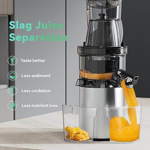 Masticating Juicer, 300W Professional Slow Juicer with 3.5-inch Large Feed Chute