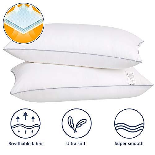 HIMOON Bed Pillows for Sleeping 2 Pack,Standard Size Cooling Pillows Set