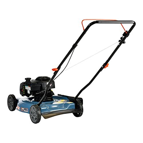 SENIX Gas Lawn Mower, 20-Inch, 125 cc 4-Cycle Briggs & Stratton Engine, Push Lawnmower