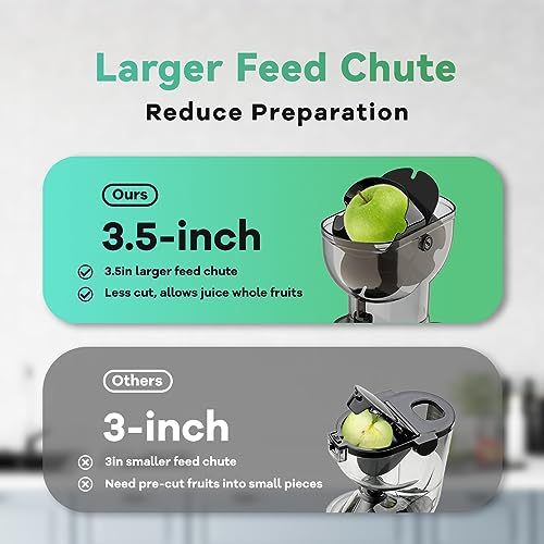 Masticating Juicer, 300W Professional Slow Juicer with 3.5-inch Large Feed Chute