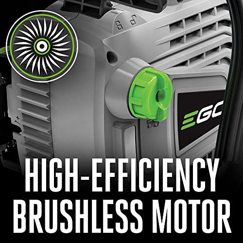 EGO Power 16-Inch 56-Volt Lithium-ion Cordless Chainsaw, Black