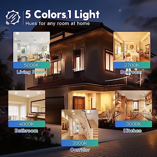 FREELICHT 24 Pack 6 Inch 5CCT Ultra-Thin LED Recessed Ceiling Light with Junction Box