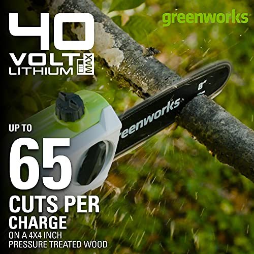 Greenworks 40V 8" Cordless 8" Polesaw + 20" Pole Hedge Trimmer Combo