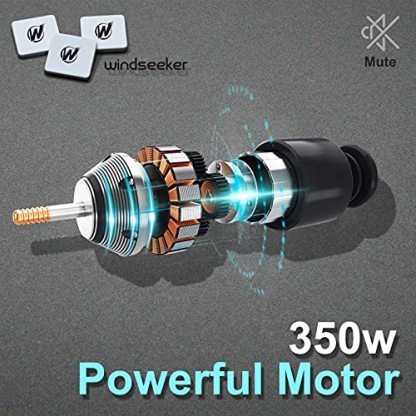 Electric Skateboard with Remote Control for Beginners Cruiser E-Ska with DIY Stickers