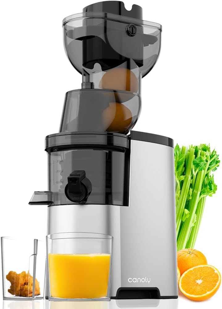 Masticating Juicer, 300W Professional Slow Juicer with 3.5-inch Large Feed Chute
