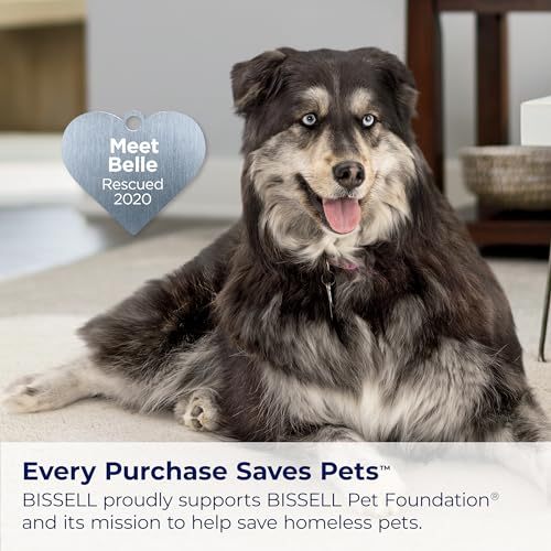 BISSELL Pet Hair Eraser Turbo Lift-Off Vacuum, w/ Self-Cleaning Brush Roll, HEPA Filtration