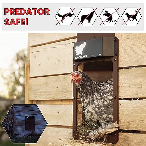 RUN-CHICKEN Door (Brown) Automatic Chicken Coop Door Opener with Timer