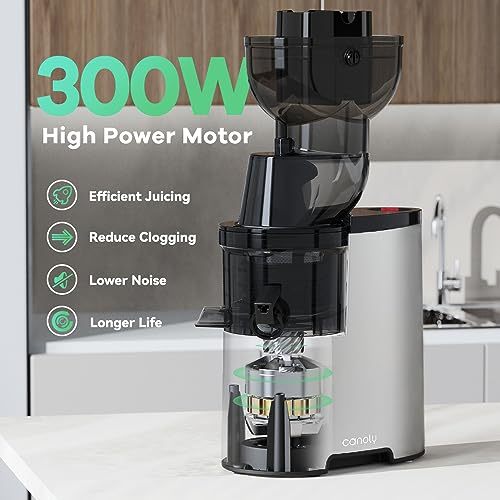 Masticating Juicer, 300W Professional Slow Juicer with 3.5-inch Large Feed Chute