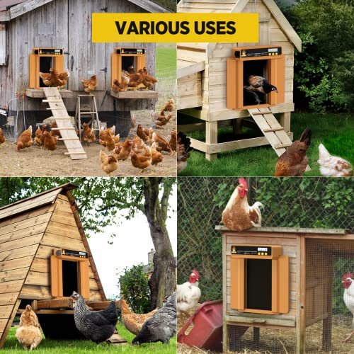 Chickcozy Automatic Chicken Coop Door Opener with Timer, Programmable Light Sensor, Battery Powered LCD Screen