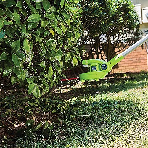 Greenworks 40V 8" Cordless 8" Polesaw + 20" Pole Hedge Trimmer Combo