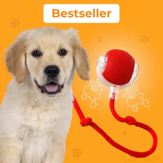 🔥 Interactive Toys Ball Automatic Pet Exercise Toys!