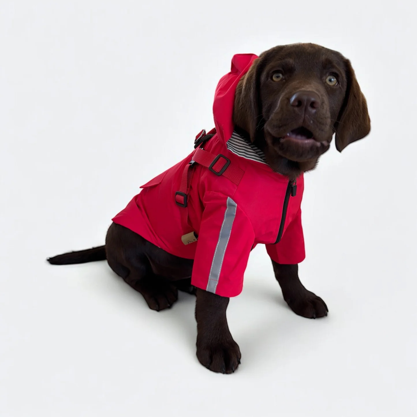 3 in 1 Rain Coat