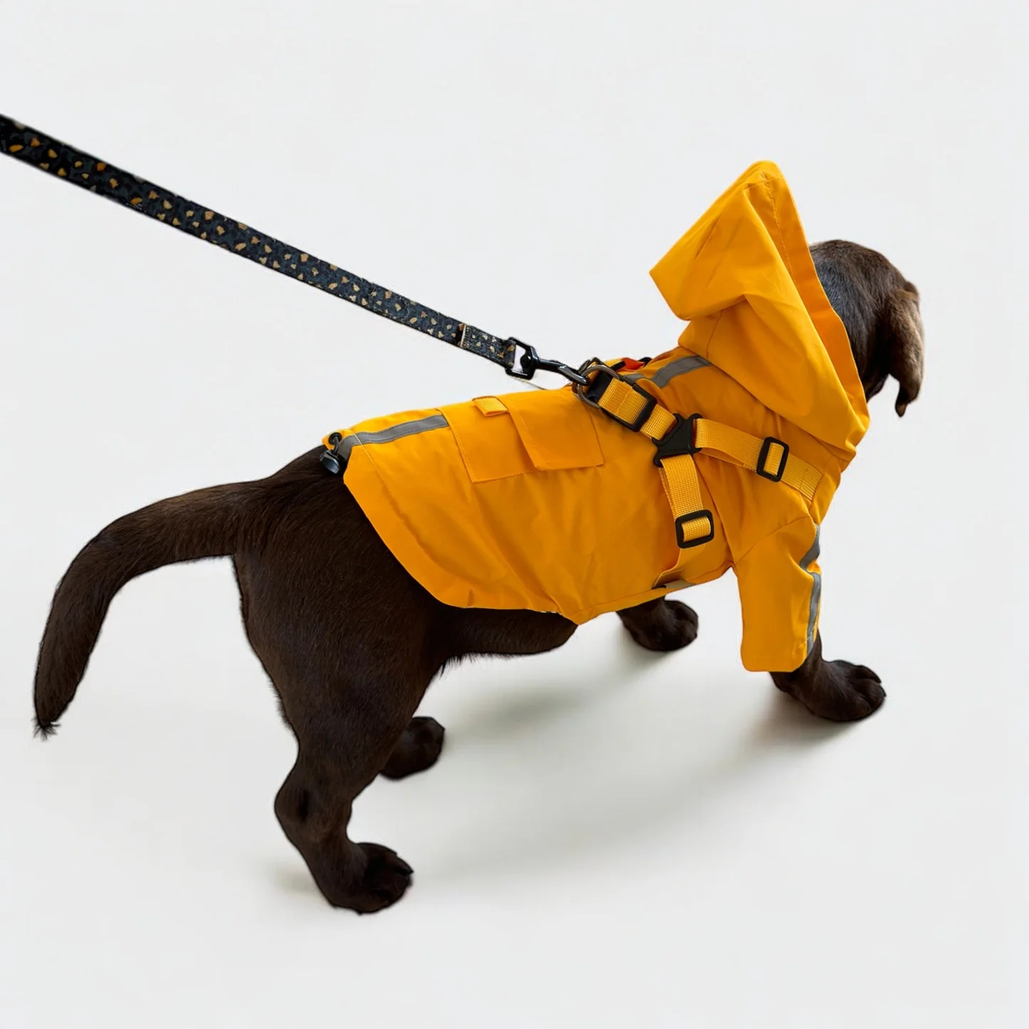 3 in 1 Rain Coat