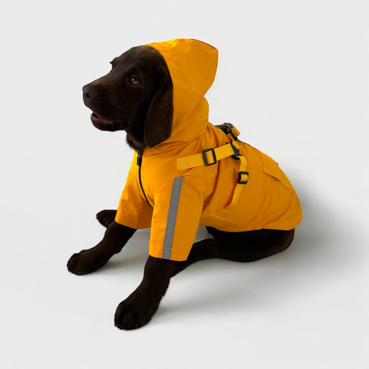 3 in 1 Rain Coat
