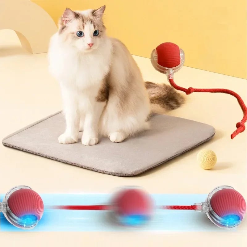 🔥 Interactive Toys Ball Automatic Pet Exercise Toys!