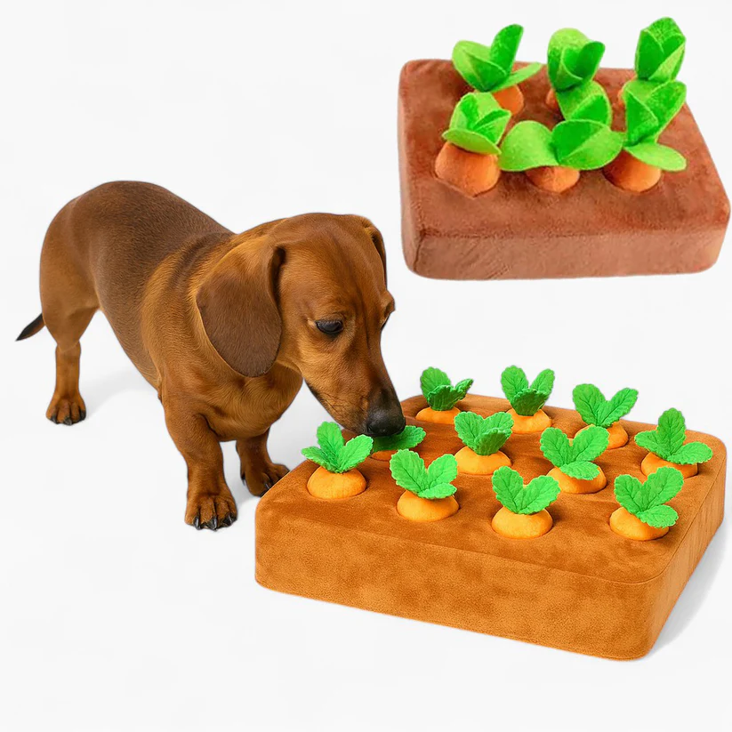 Dachshund Carrot Puzzle Toy – Interactive Hide Seek Snuffle Game