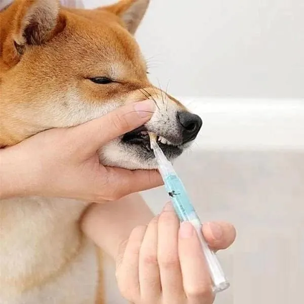 Cat & Dog  Teeth Repairing Kit, Pet Teeth Cleaning Pen for Dental Care,