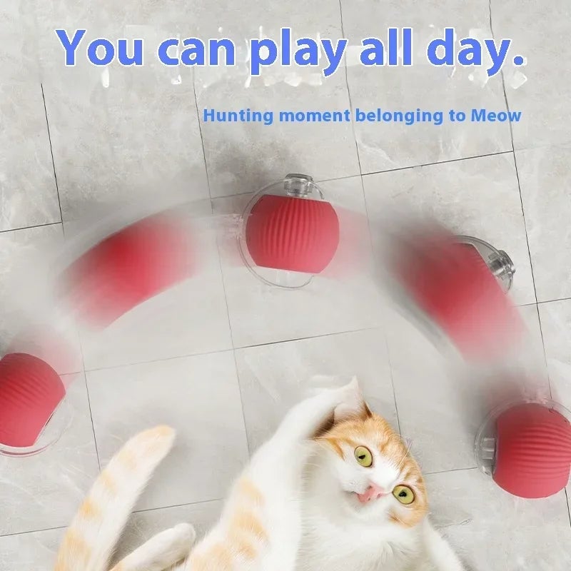 🔥 Interactive Toys Ball Automatic Pet Exercise Toys!