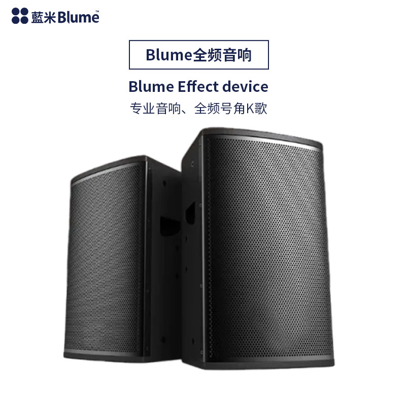 Blume 6.5吋全頻 PRO無源音響｜全新升級高保真音質｜兩件裝