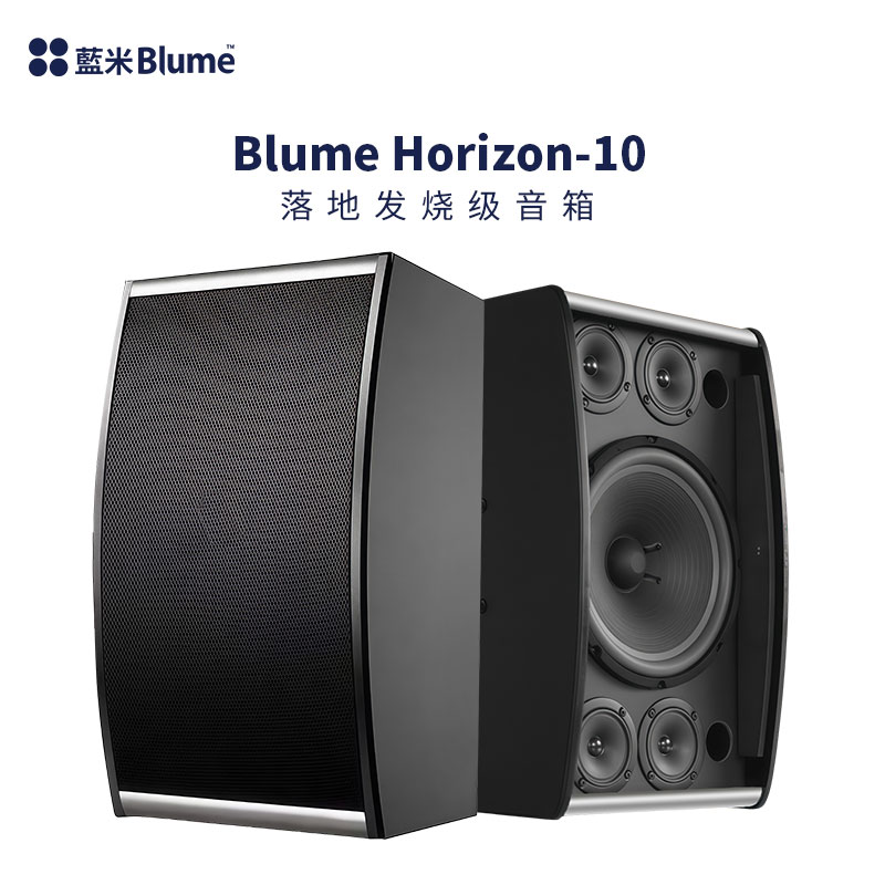 Blume 10吋專業卡拉OK無源HIFI高保真音箱｜200W雙分頻音響 