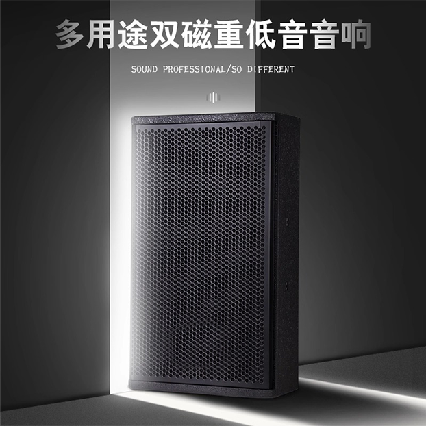 Blume 6.5英寸全频音响｜全新升级高保真音质 兩件裝