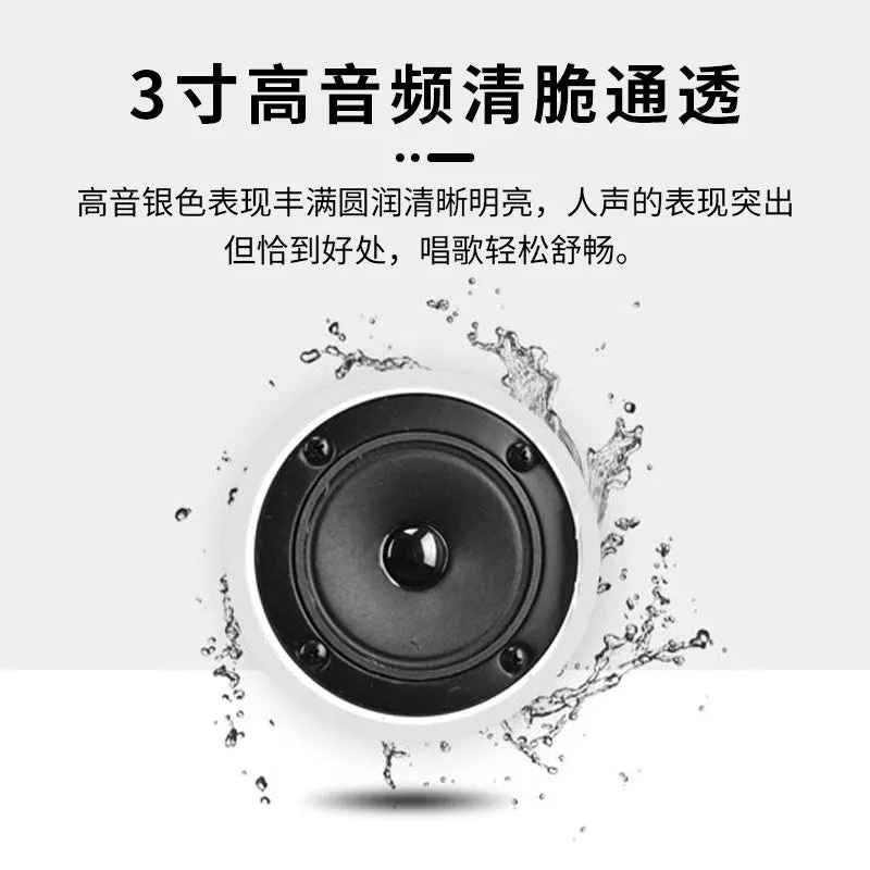 Blume 6.5吋全頻 PRO無源音響｜全新升級高保真音質｜兩件裝