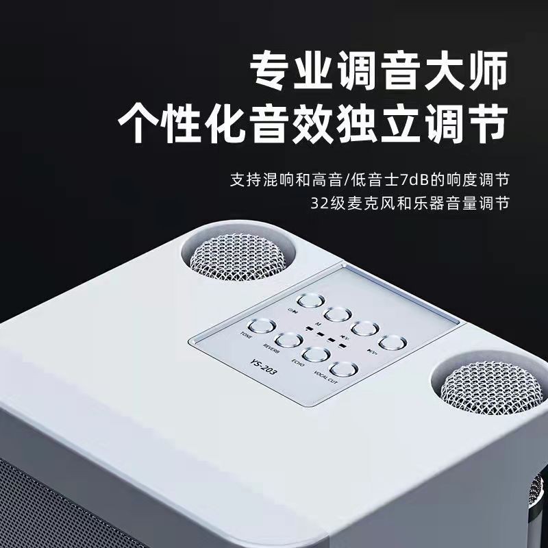 户外家用双人合唱K歌音响无线蓝牙双麦克风话筒音箱一体机