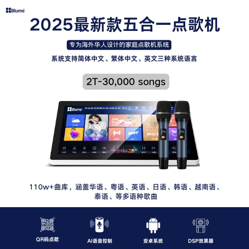 2025蓝米五合一功放一体卡拉OK点歌机