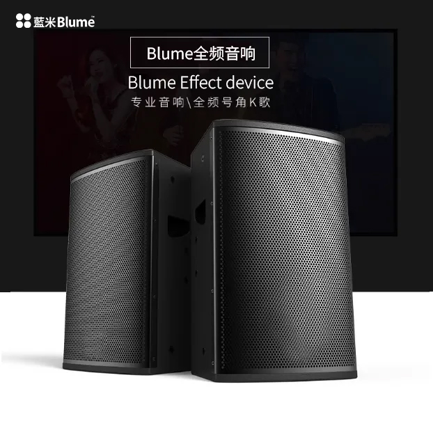 Blume 6.5英寸全频PRO音响｜全新升级高保真音质 兩件裝
