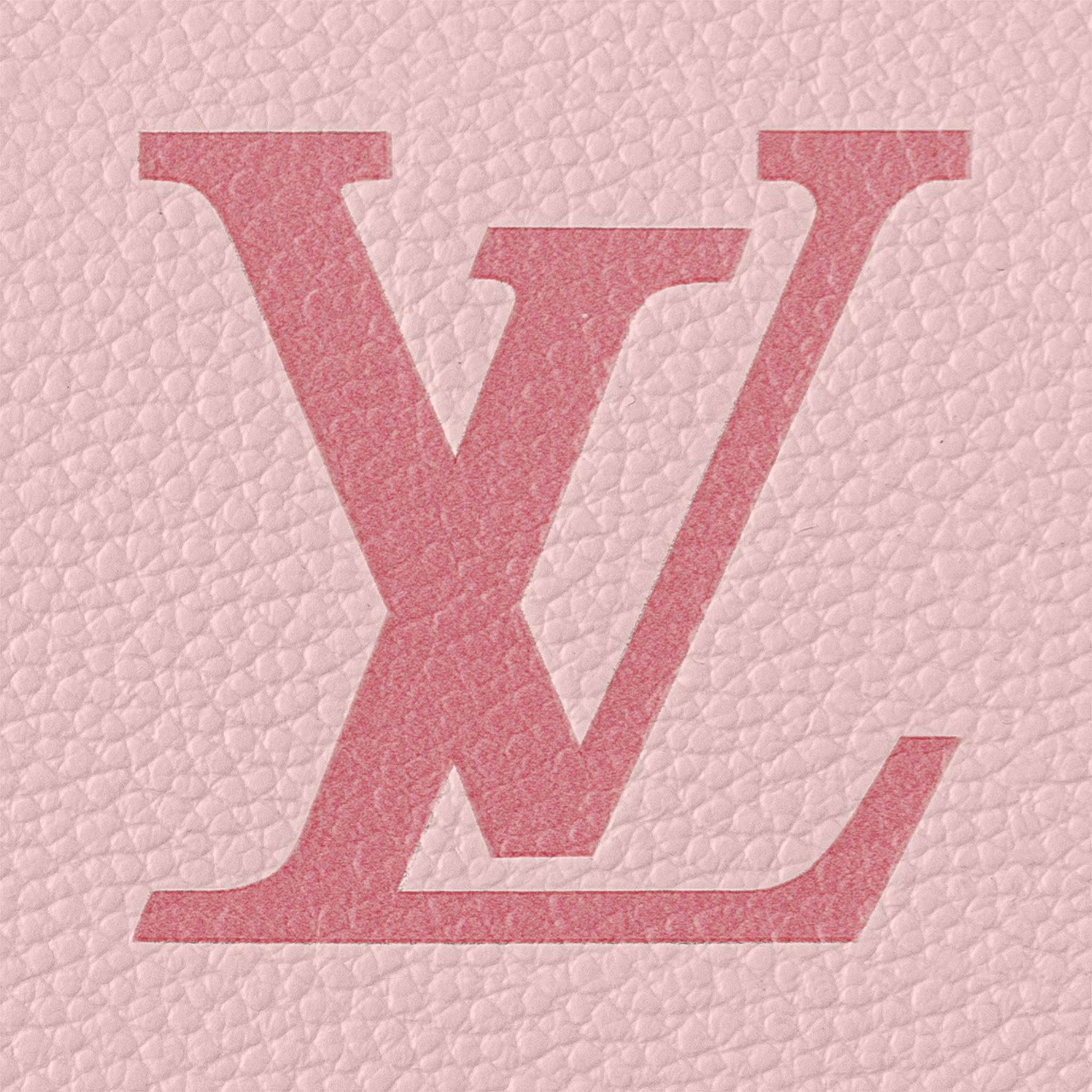 Speedy Bandouliere 20 M46518