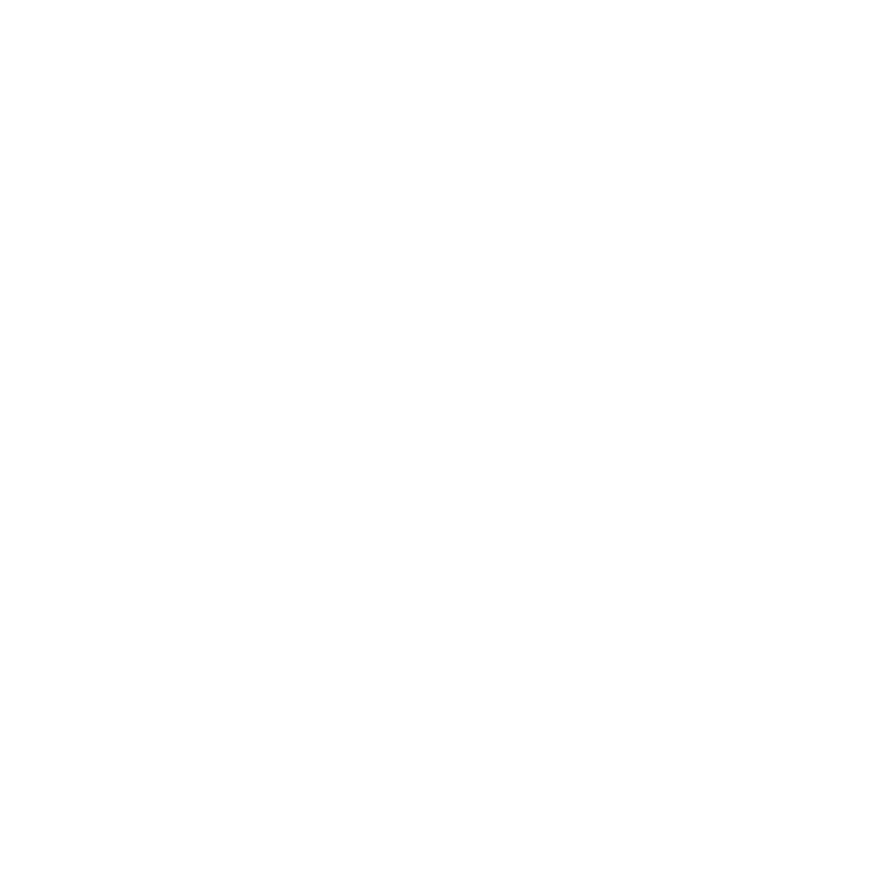 dashwiser-nl