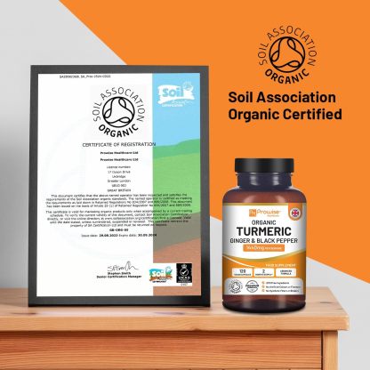 Zeveri Kurkuma Curcumin 1440 mg mit schwarzem Pfeffer und Ingwer I 120 Vegane Kurkuma-Kapseln Hochfest