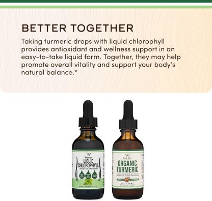 Zeveri Gotas líquidas de clorofila – para la digestión, la salud intestinal, la energía y la desintoxicación – Vegano seguro (rico, textura completa y sabor, sin agua), 2 onzas con sabor a menta