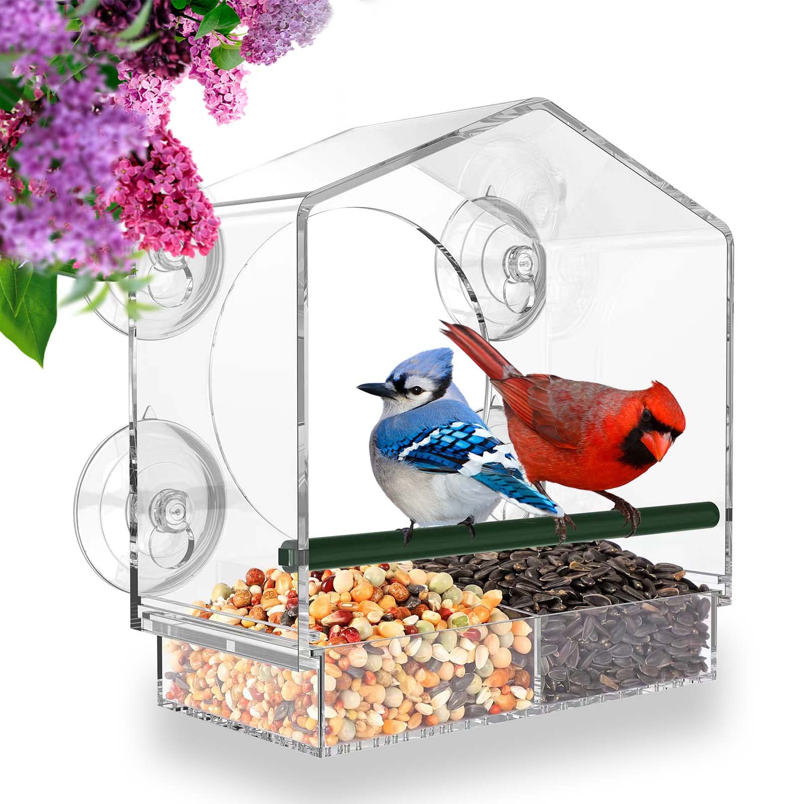 Hot sale--Window Bird Feeder for Outside🔥BUY 2 FREE SHIPPING🔥