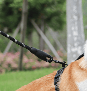 No Pull Dog Hám háziállatok számára