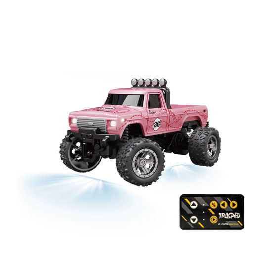 ⚡Last Day Promotion 49% OFF - OEIN Mini RC Monster Truck