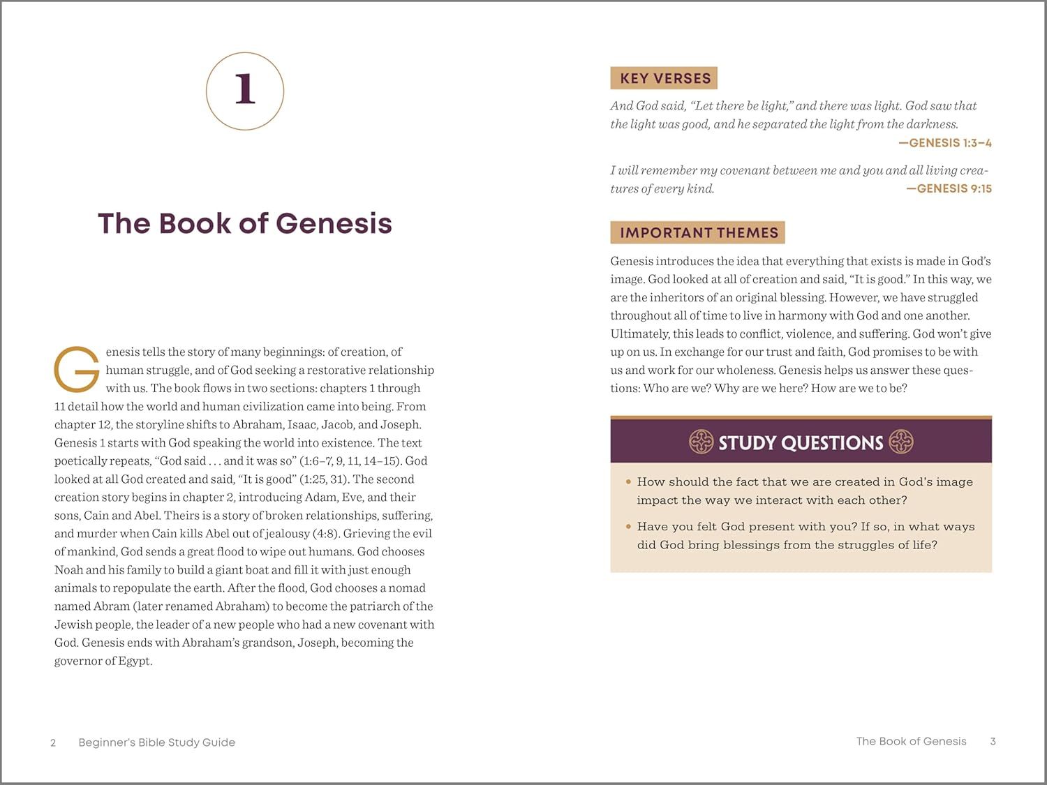 The Beginner's Bible Study Guide: An Introduction to All 66 Books of the Bible